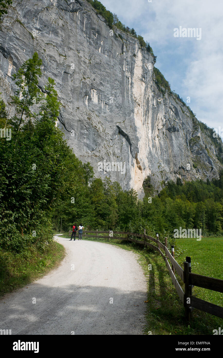 Weg von Gößl zum Toplitzsee mit Gößlerwand, Gößl, Grundlsee, Salzkammergut, Ausseerland, Estiria, Austria Foto de stock