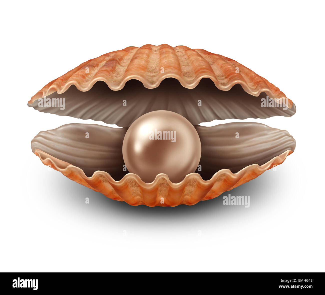 Concha de perla de mar fotografías e imágenes de alta resolución - Alamy