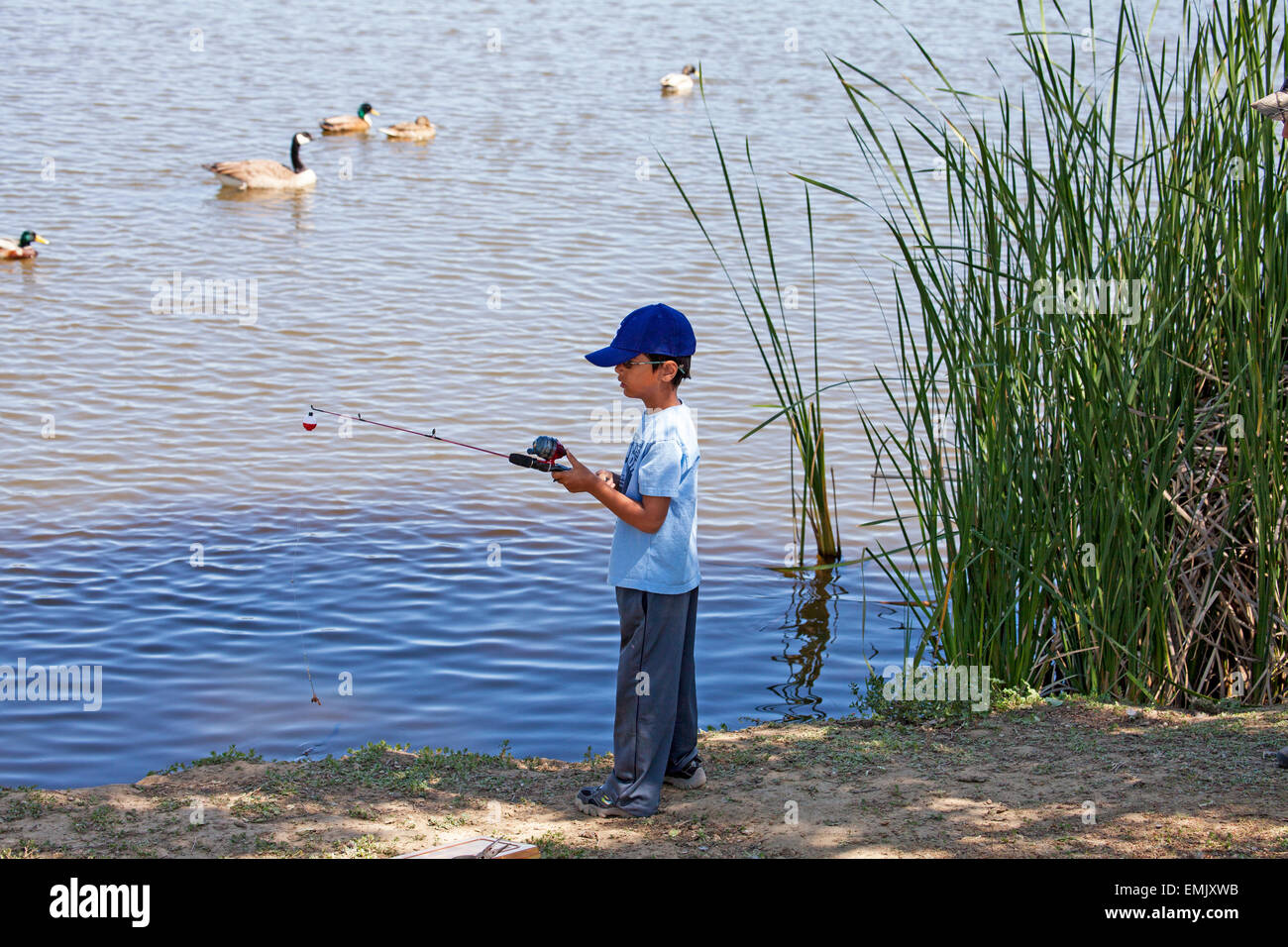 Muchacho pescando en Scottsdale Pond, en Novato, California, EE.UU. Foto de stock