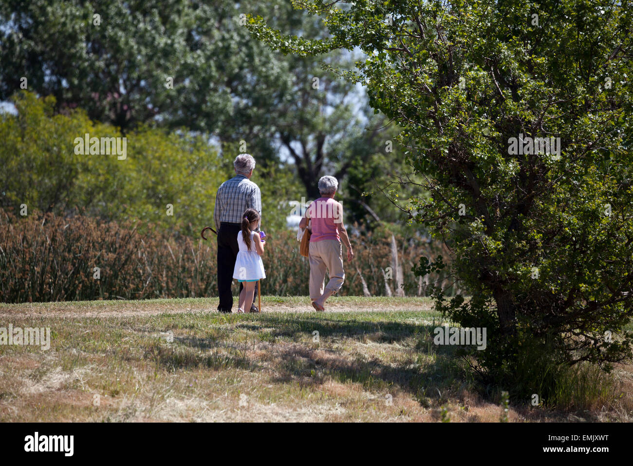 Abuelos y nieta de tener un paseo, en Novato, California, EE.UU. Foto de stock
