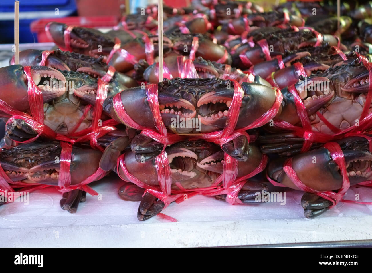 Los cangrejos vivos atados enlazados en un puesto en un mercado de alimentos en Bangkok, Tailandia Foto de stock