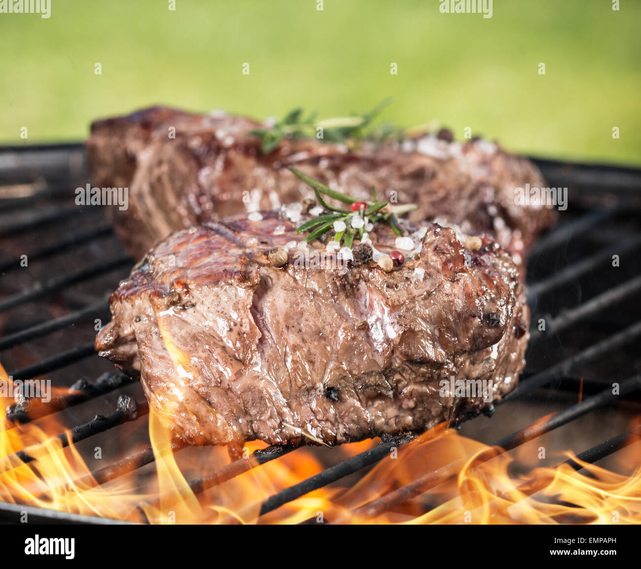 Carne De La Carne Asada En El Asador Eléctrico Foto de archivo - Imagen de  parrilla, almuerzo: 10127482