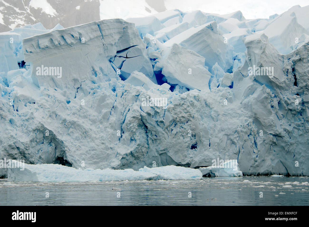 Gigantescos bloques de hielo en la cara del Bahía Paraíso Glaciar Antártico La Antártida Peninsular Foto de stock