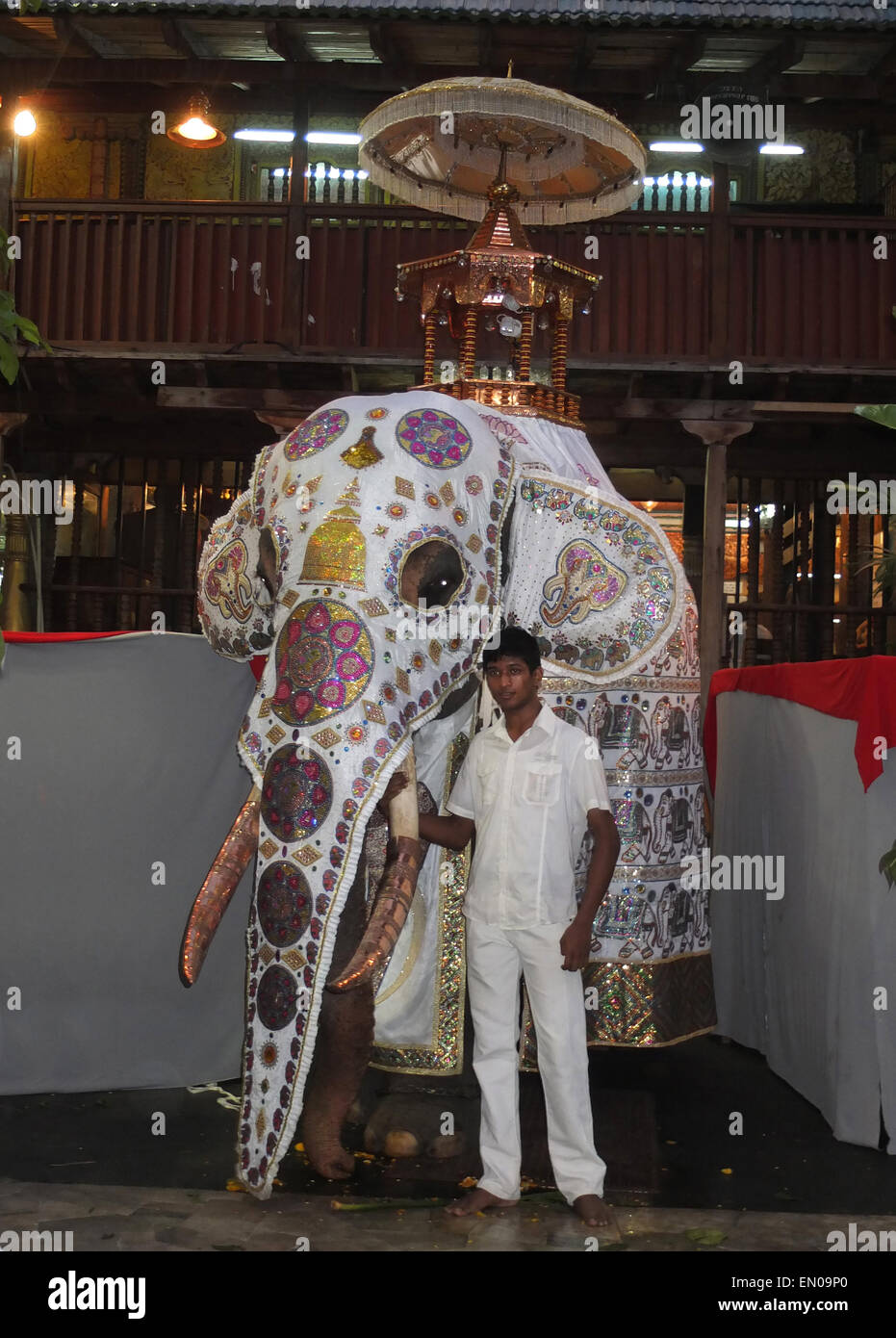Sri Lanka: vestido de elefante para el festival Perehara en Colombo. Foto de stock