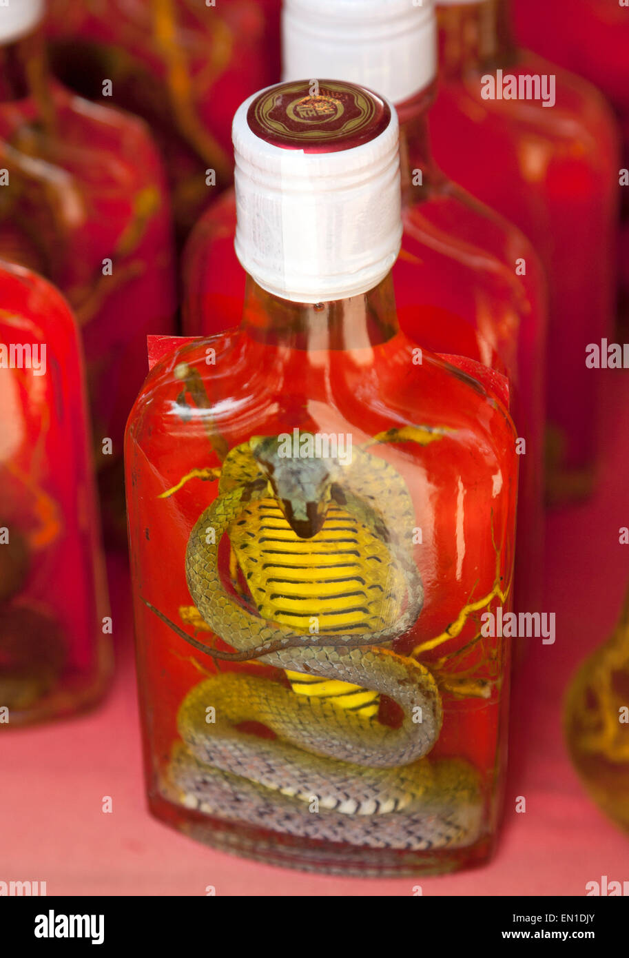 Don Sao isla, Laos, el Triángulo de Oro, puesto en el mercado vendiendo tónico exóticas bebidas alcohólicas que contengan cobra. Foto de stock
