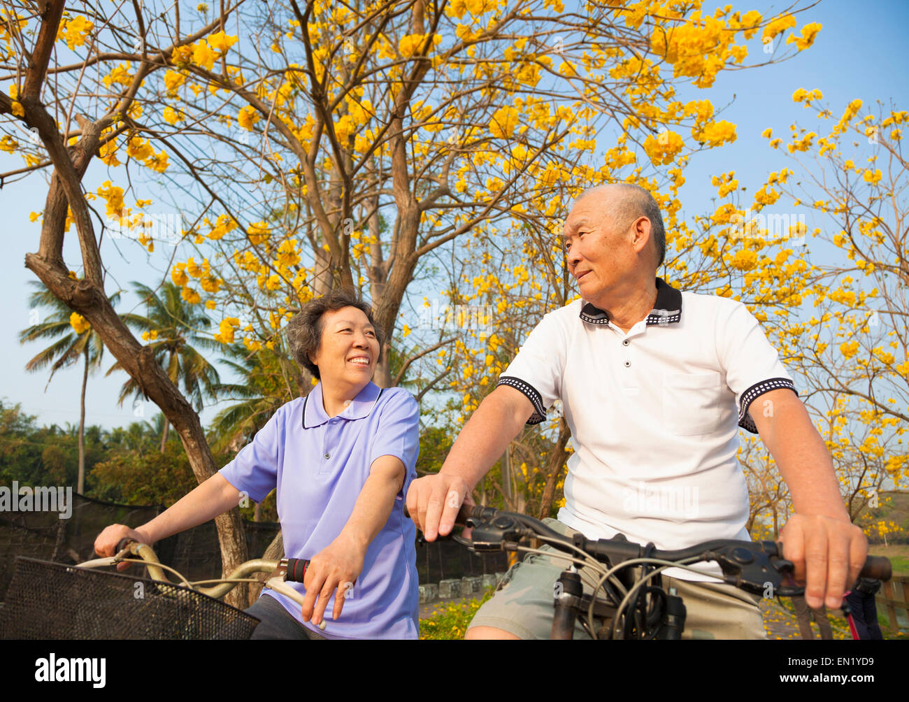 Feliz pareja senior montando bicicleta en el parque Foto de stock