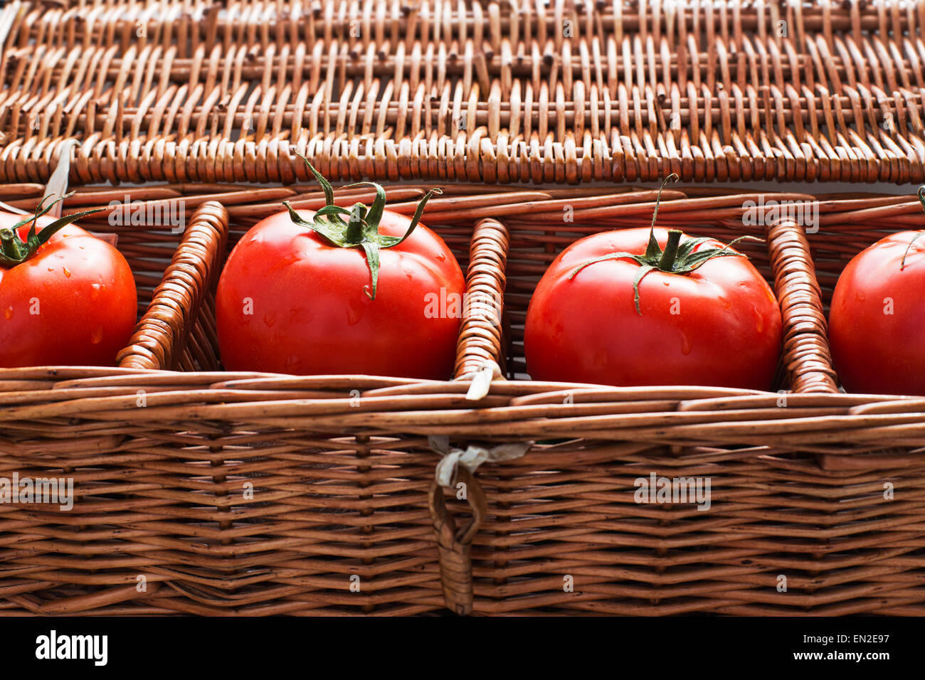 Cuatro tomates con rocío tumbado por separado en el cuadro de mimbre Foto de stock
