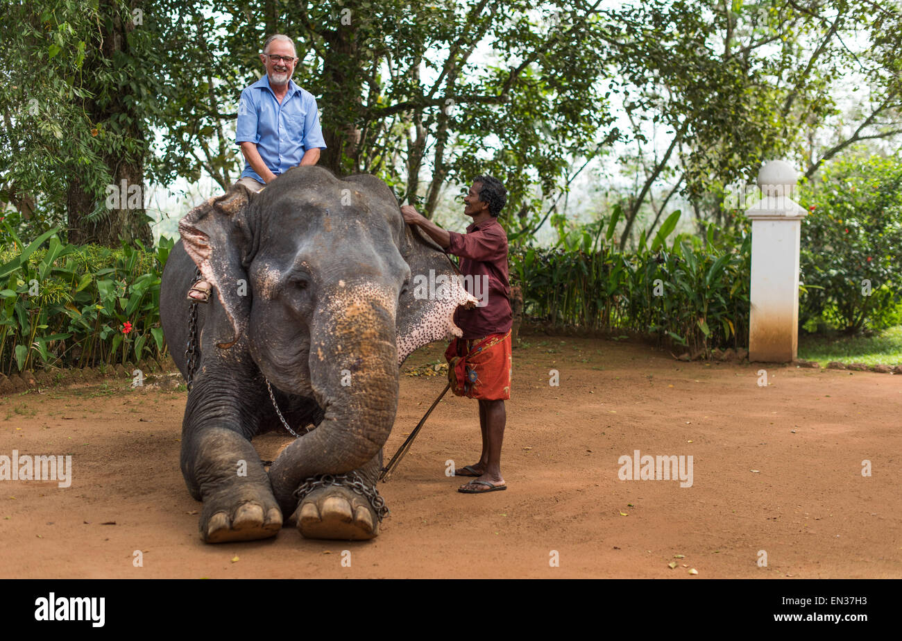 Turista montar en elefante y cornaca o elefante guía, Peermade, Kerala, India Foto de stock