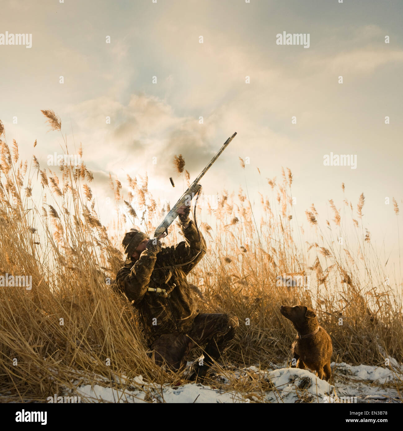 Hombre cazando perro cazando fotografías e imágenes de alta resolución -  Página 2 - Alamy