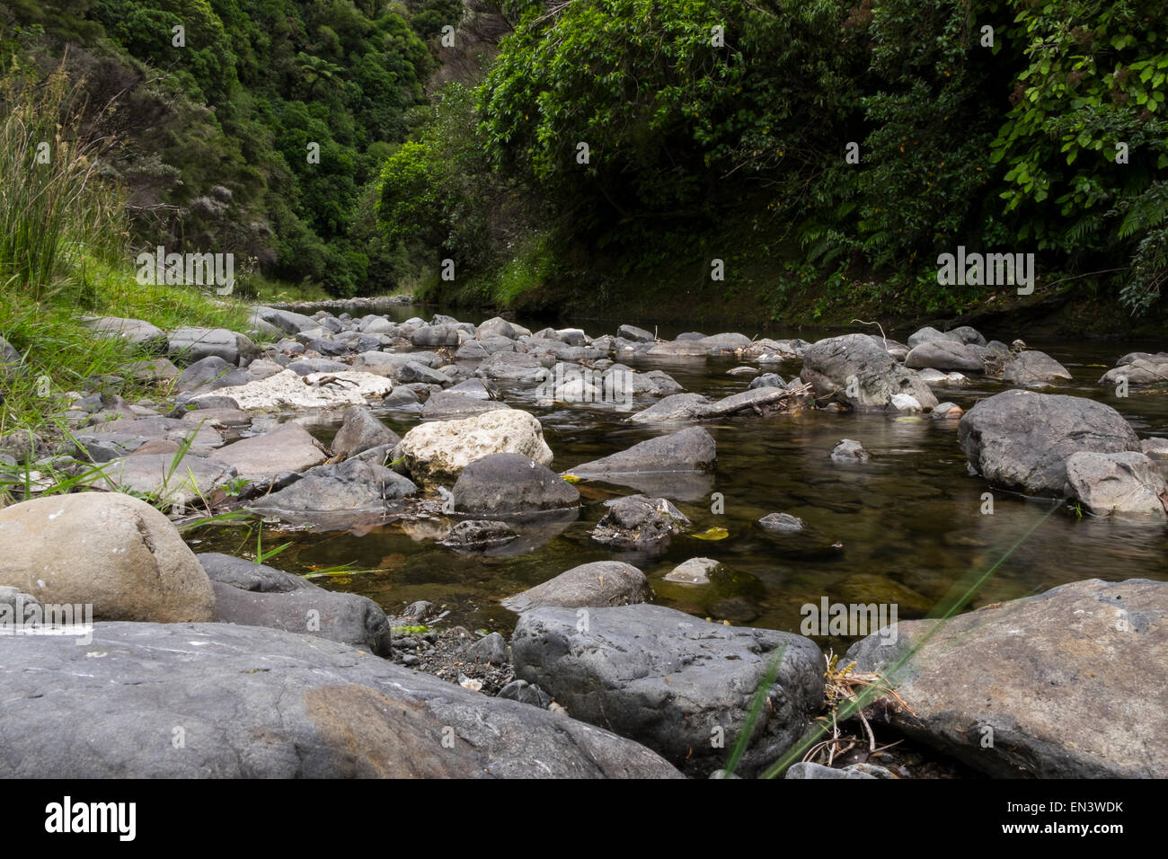Río dejando el abismo Patuna en Wairarapa Martinborough cercano, Nueva Zelanda. Foto de stock