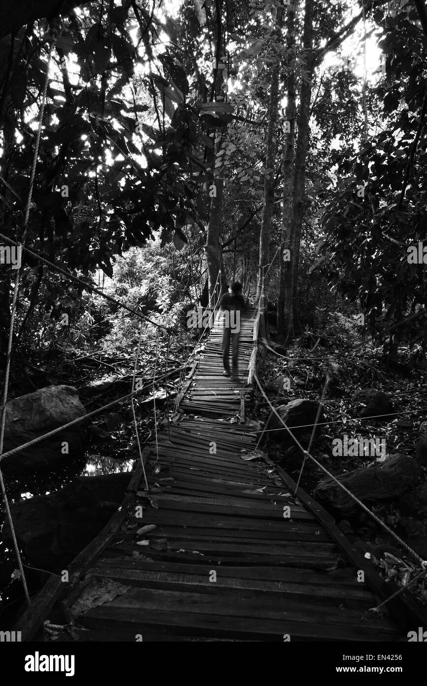 Fantasma en puente de madera Foto de stock