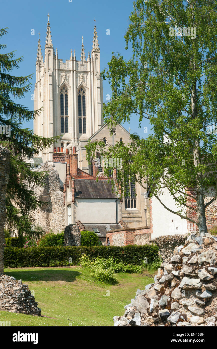 La catedral de St Edmundsbury desde los jardines de la abadía Foto de stock