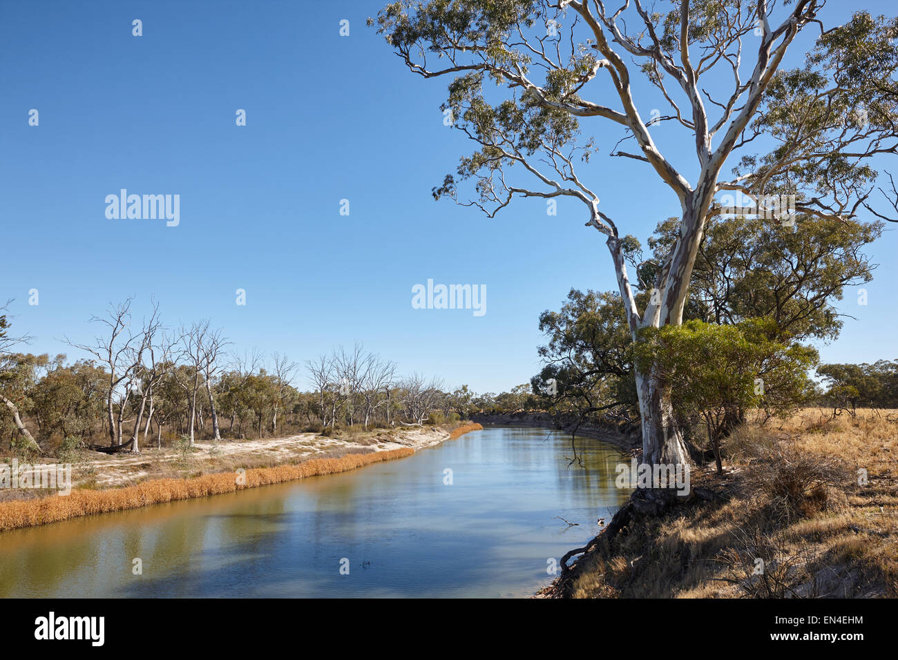 El Río Wimmera justo antes de fluir hacia el lago Hindmarsh cerca Jeparit, Victoria, Australia. Foto de stock