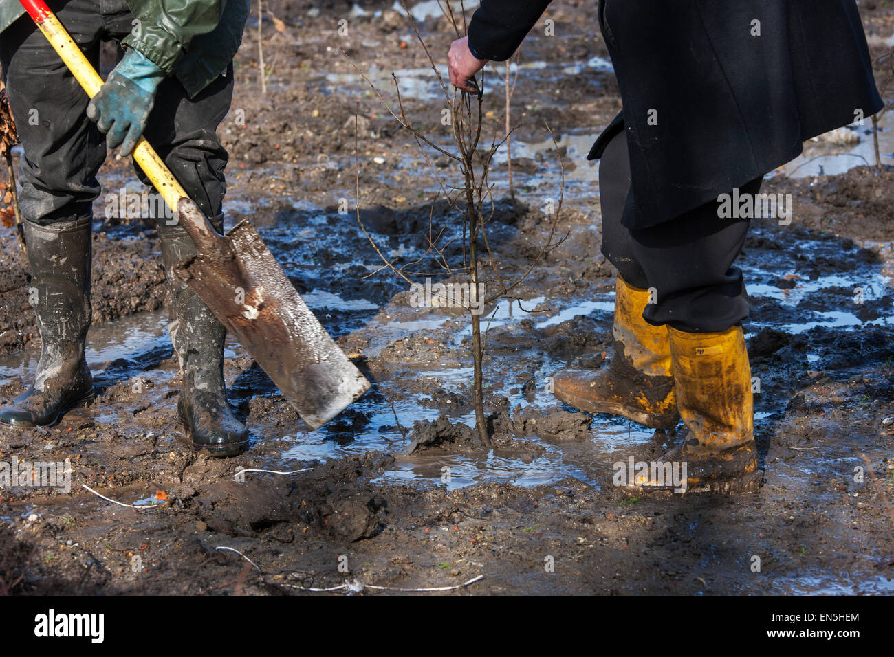 Conservacionistas de la naturaleza plantar un árbol en terrenos baldíos Foto de stock