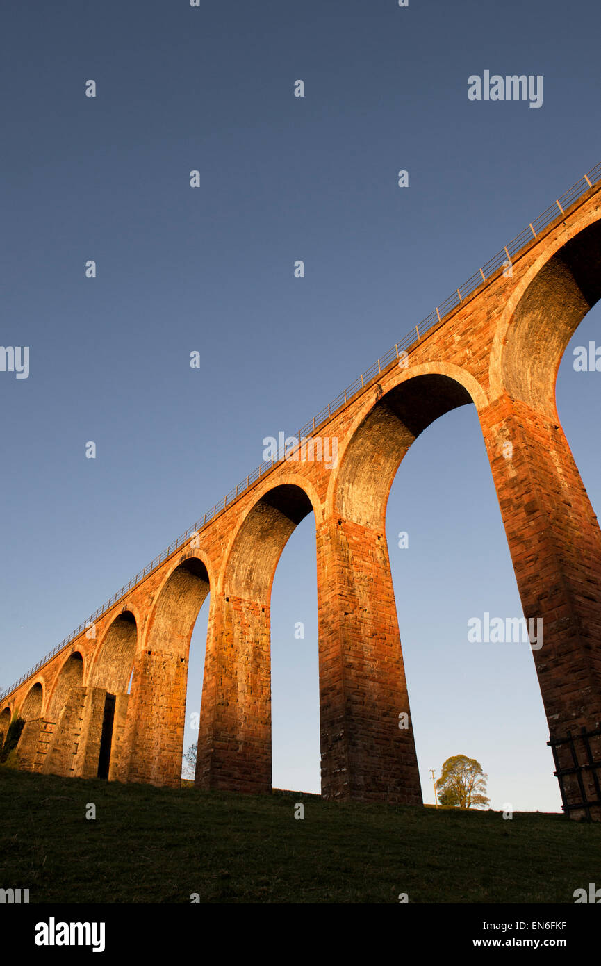 Leaderfoot viaducto sobre el río Tweed cerca de Melrose, en la frontera escocesa en el amanecer. Escocia Foto de stock