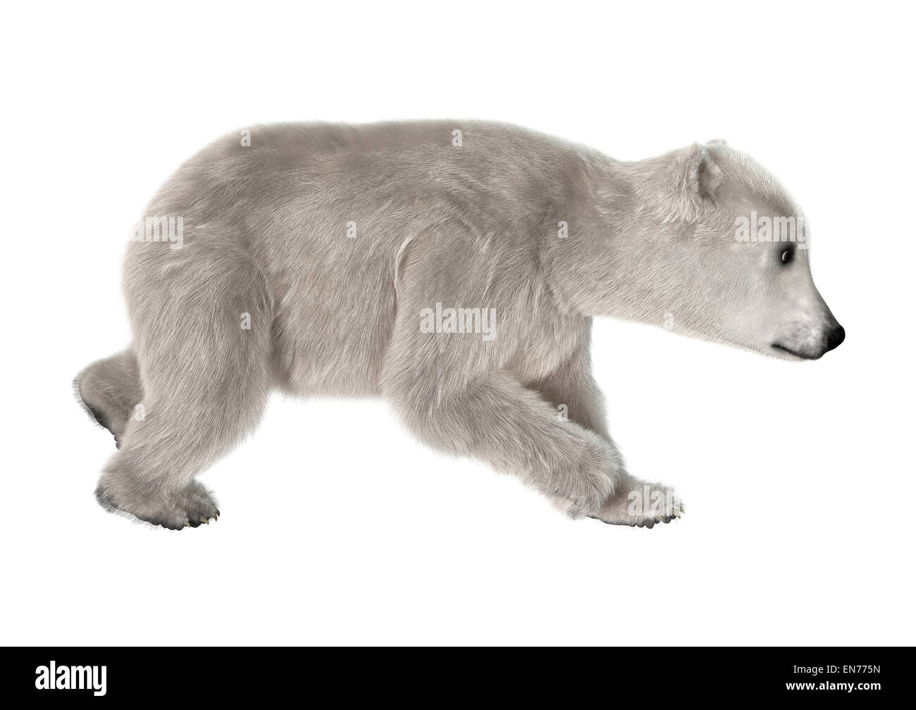 Tigre Branco Na Floresta. Cena Da Vida Selvagem. 3d Rendering. Imagem e  Fotografia Gratuitas 200023970.