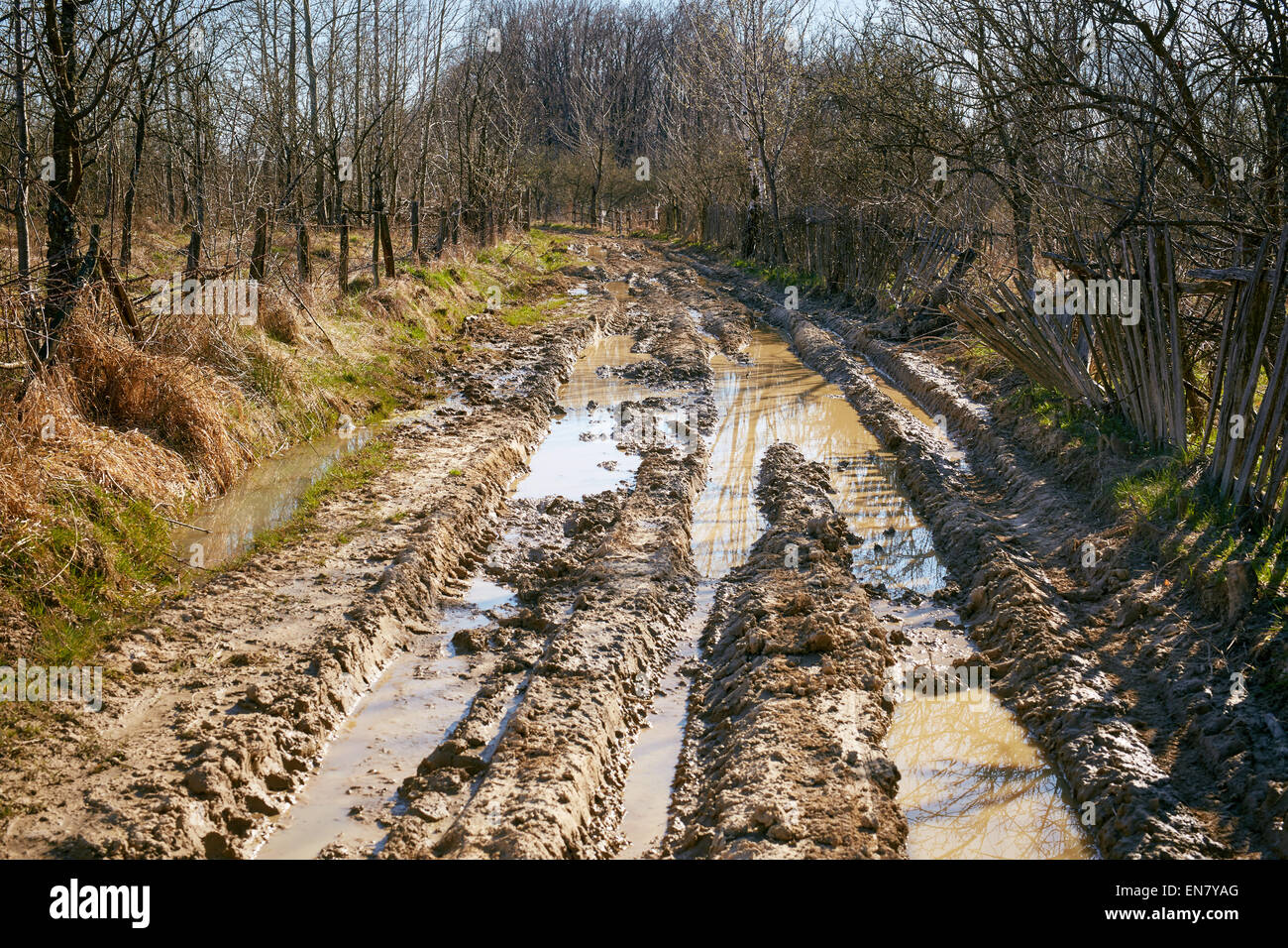 barro-humedo-carretera-rural-con-las-huellas-de-las-ruedas-llenos-de-agua-sucia-en7yag.jpg