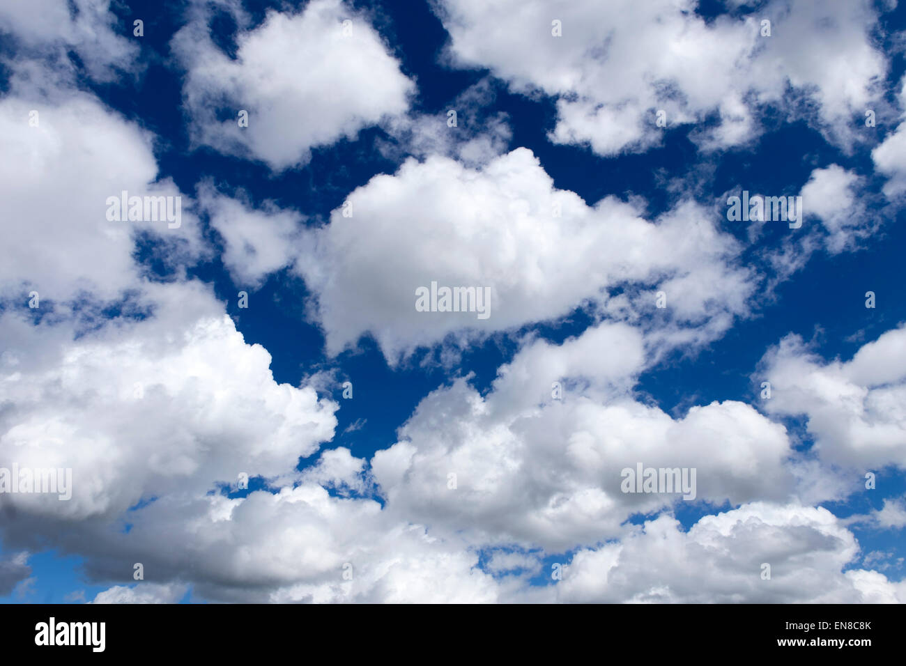 Las nubes blancas en un cielo azul profundo Foto de stock