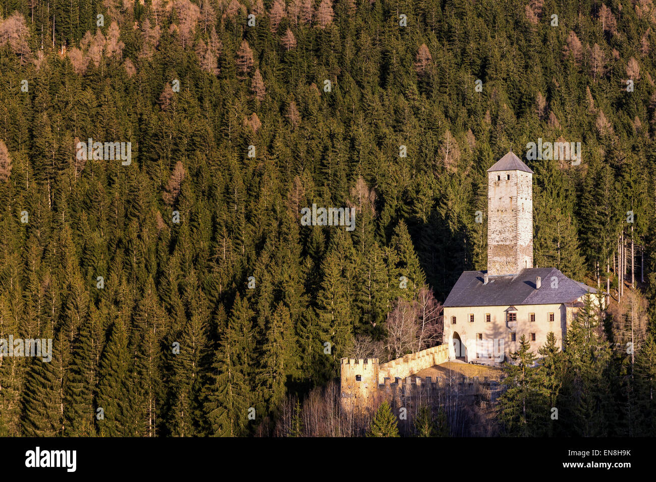 Castillo, Welsperg Puster Valley, Monguelfo-Tesido, Alto-Adige, Italia Foto de stock