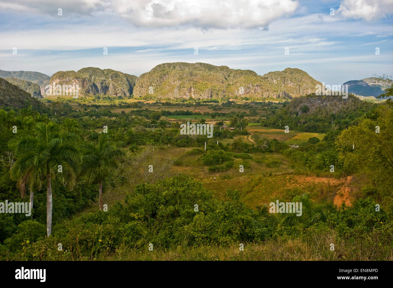 Vista horizontal del impresionante paisaje de Viñales. Foto de stock
