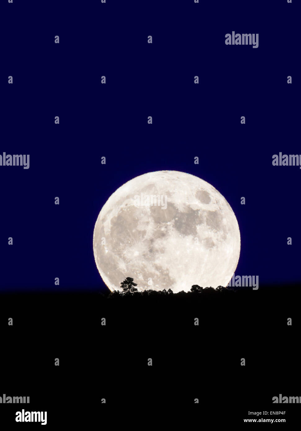 Luna llena ascendiendo sobre montañas rocosas, Salida, Colorado, EE.UU. Foto de stock