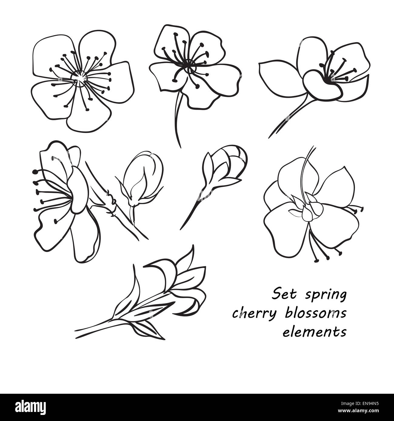 Flor De Cerezo Tatuajes En Forma De Dibujos Muy Sencillos Dibujos Animados De Pétalos De Flor De Cerezo Imagen Descargarprf