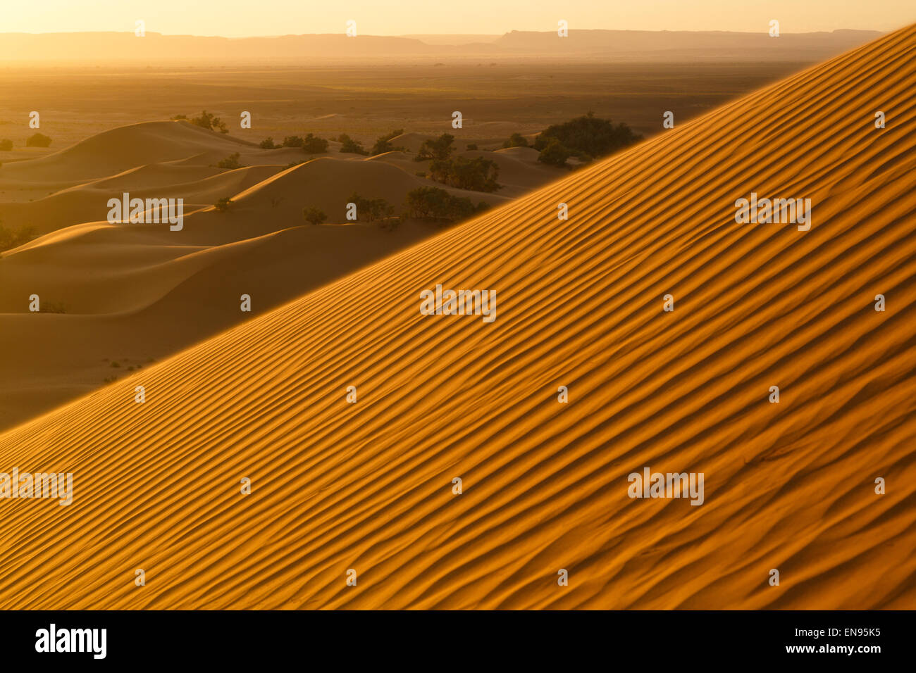 Las dunas de arena. Dunas de Lihoudi. El desierto del Sahara. Marruecos. Foto de stock
