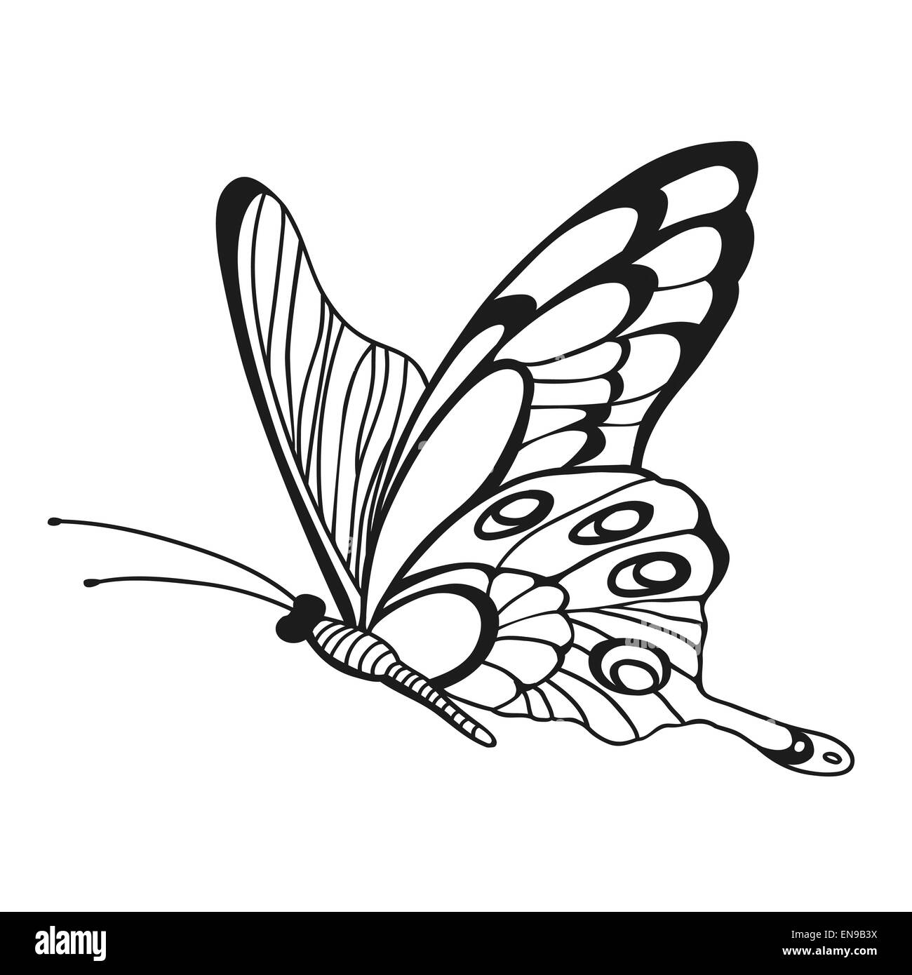 Butterfly design drawing fotografías e imágenes de alta resolución - Alamy