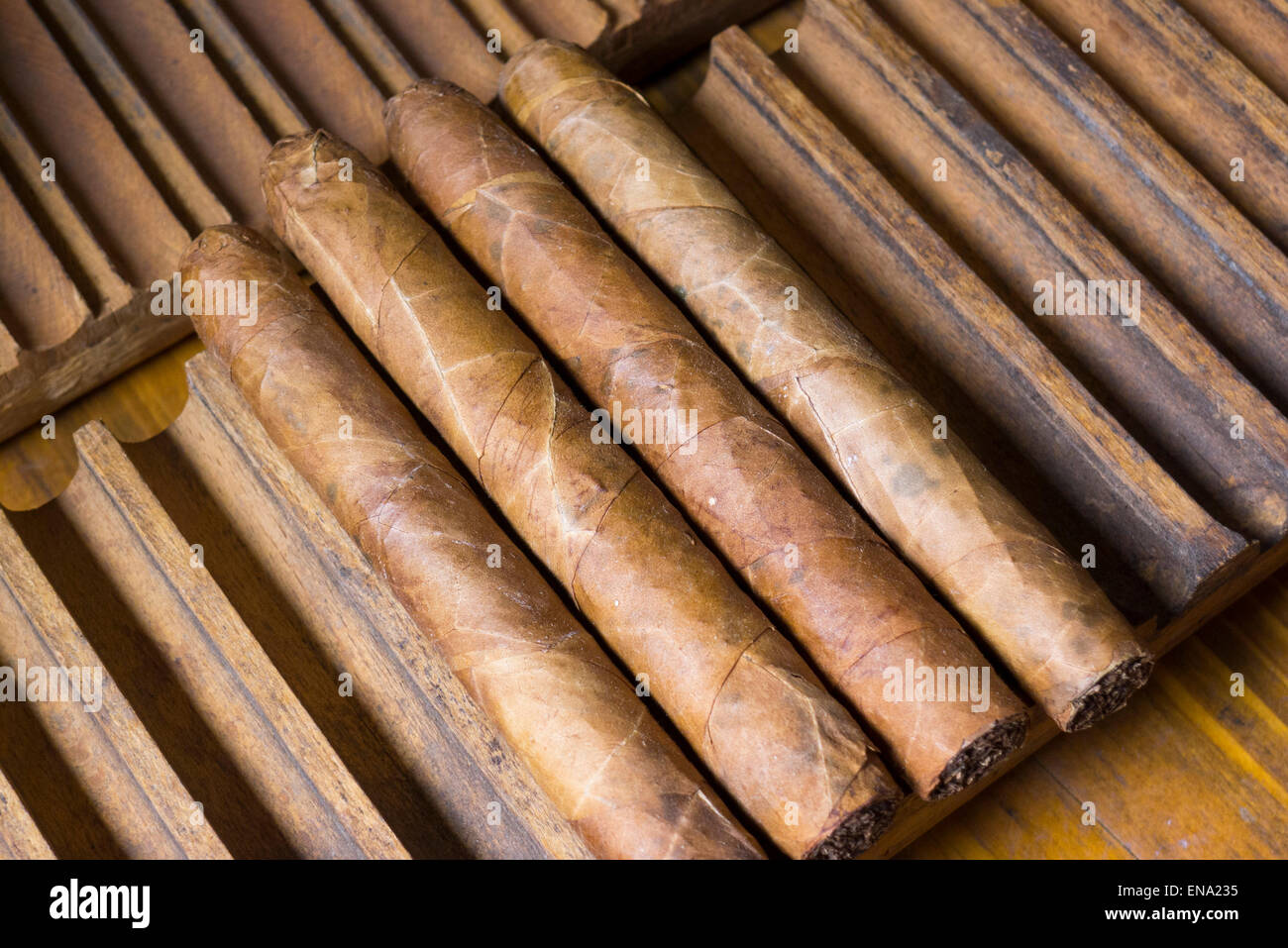 Zigarren, Hesse, Deutschland | Puros, Hessen, Alemania Foto de stock