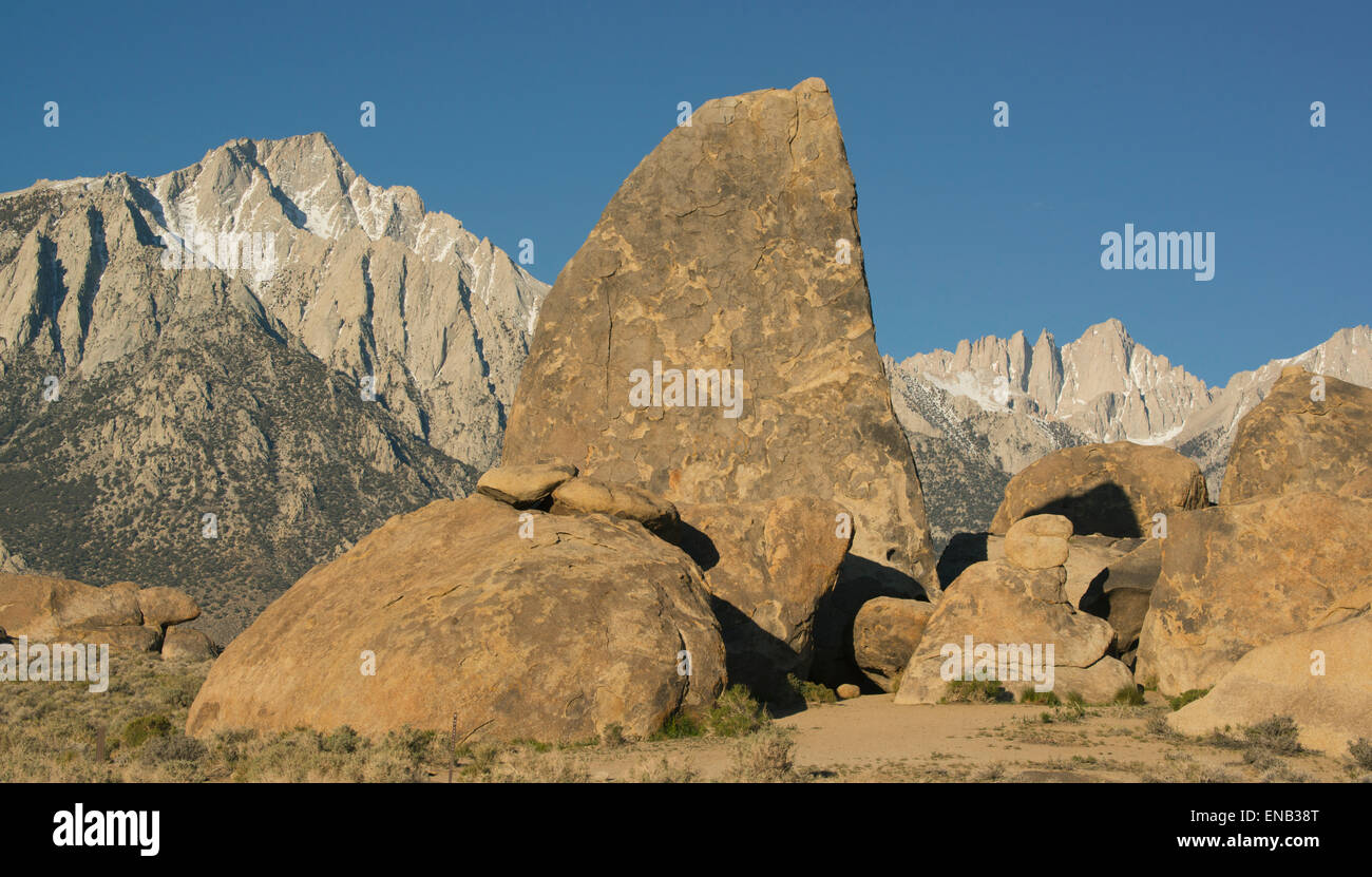 Mt. Whitney (derecha,el fondo) y la cresta de Sierra Nevada, desde Alabama Hills, Owens Valley, California. Foto de stock