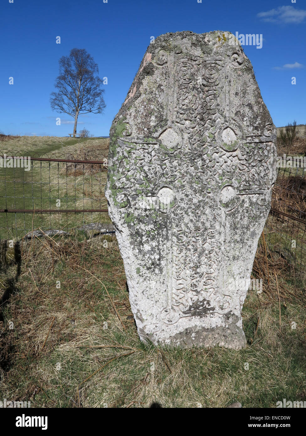 Símbolo de Pictish finamente tallados en piedra - Loch Kinord circuito - Muir de Dinnet - Ballater - Aberdeenshire - Escocia - REINO UNIDO Foto de stock
