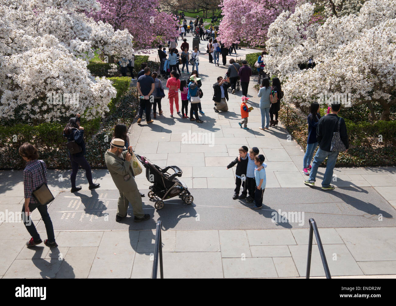 Hombre fotografiando a tres niños en el Jardín Botánico de Brooklyn, Nueva York, EE.UU. Foto de stock