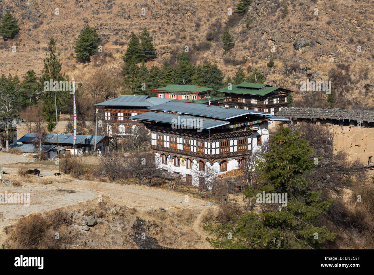 Casas rurales de pequeña comunidad agrícola por la principal autopista Paro-Thimphu en Bhután, Asia Foto de stock