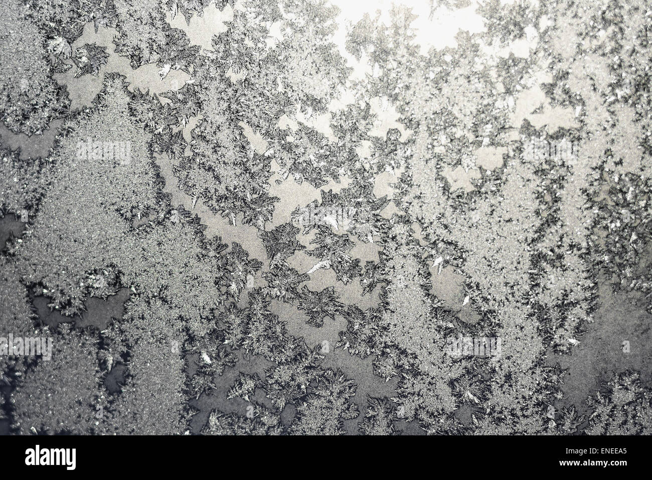 Los copos de nieve congelada y frost magic patrón con la luz del sol en invierno Navidad ventana. En color gris o un tono plateado Foto de stock