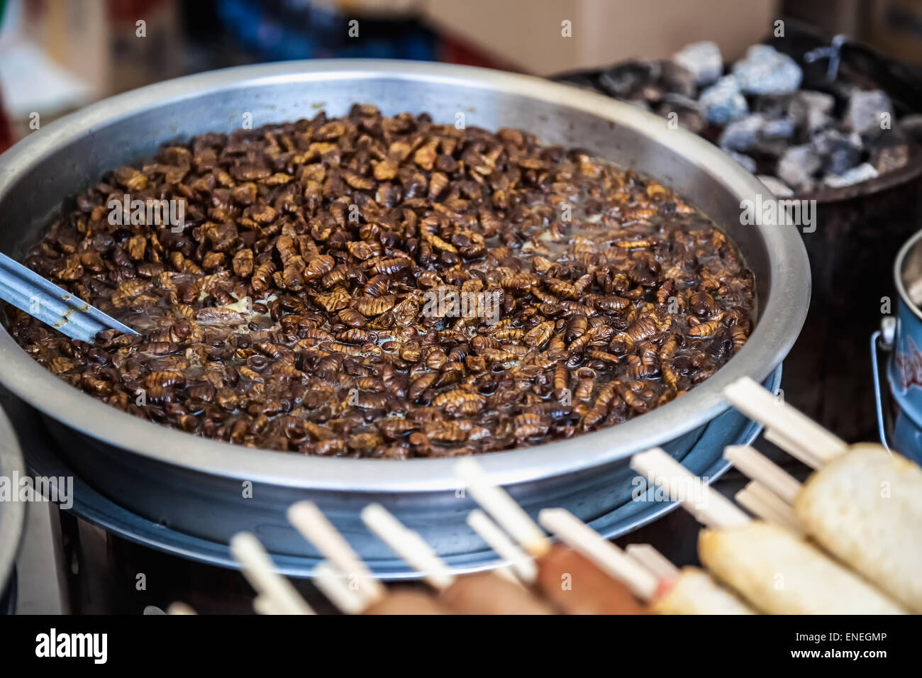 Los escarabajos fritos o insectos exóticos tradicionales coreanas o comida asiática en metal o plato de aluminio o pan Foto de stock