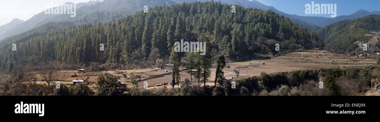 Las granjas y el campo cercano (Chazam Sephu), Wangdue Phodrang, Bhután occidental, Asia Foto de stock