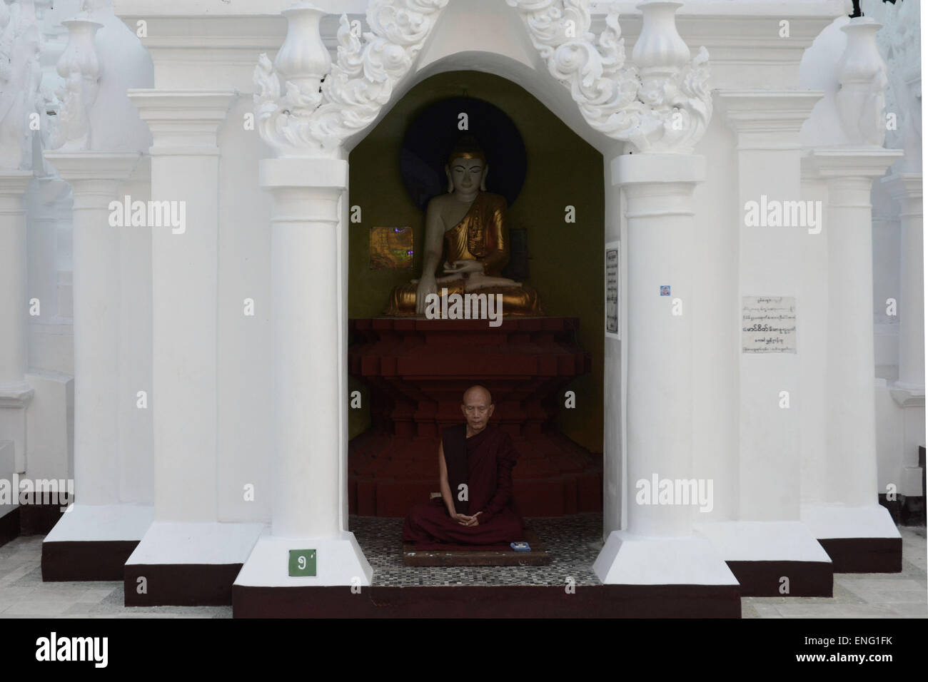 Yangon, Myanmar. 06 abr, 2015. Un monje budista meditando activamente en Shwedagon Paya, un impresionante complejo de templos budistas que atrae a peregrinos de todo el mundo. Aunque ya no es la capital oficial del país, Yangon Myanmar sigue siendo la mayor y más importante ciudad comercial, con una población de más de cinco millones de dólares. Desde las elecciones de 2010, las fortunas de Yangon han disparado junto con el precio de los terrenos. Sin embargo, decenios de estancamiento económico son todavía evidentes en la ciudad las barriadas de chabolas, viviendas e infraestructuras. © Laura Chiesa/Pacific Press/Alamy Live News Foto de stock
