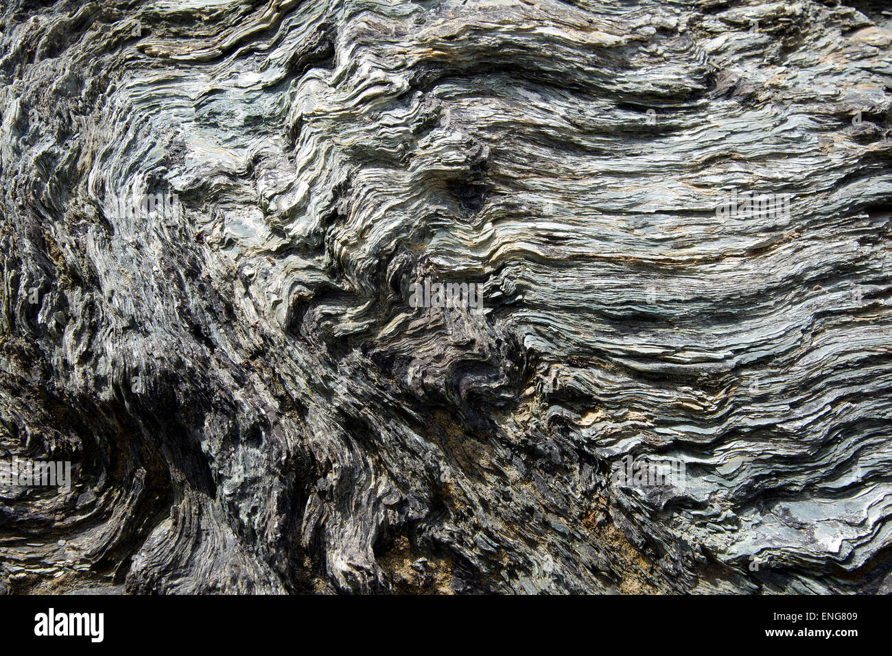 Formación de roca mostrando intensa folding en estratos de Tierra del Fuego Argentina Foto de stock