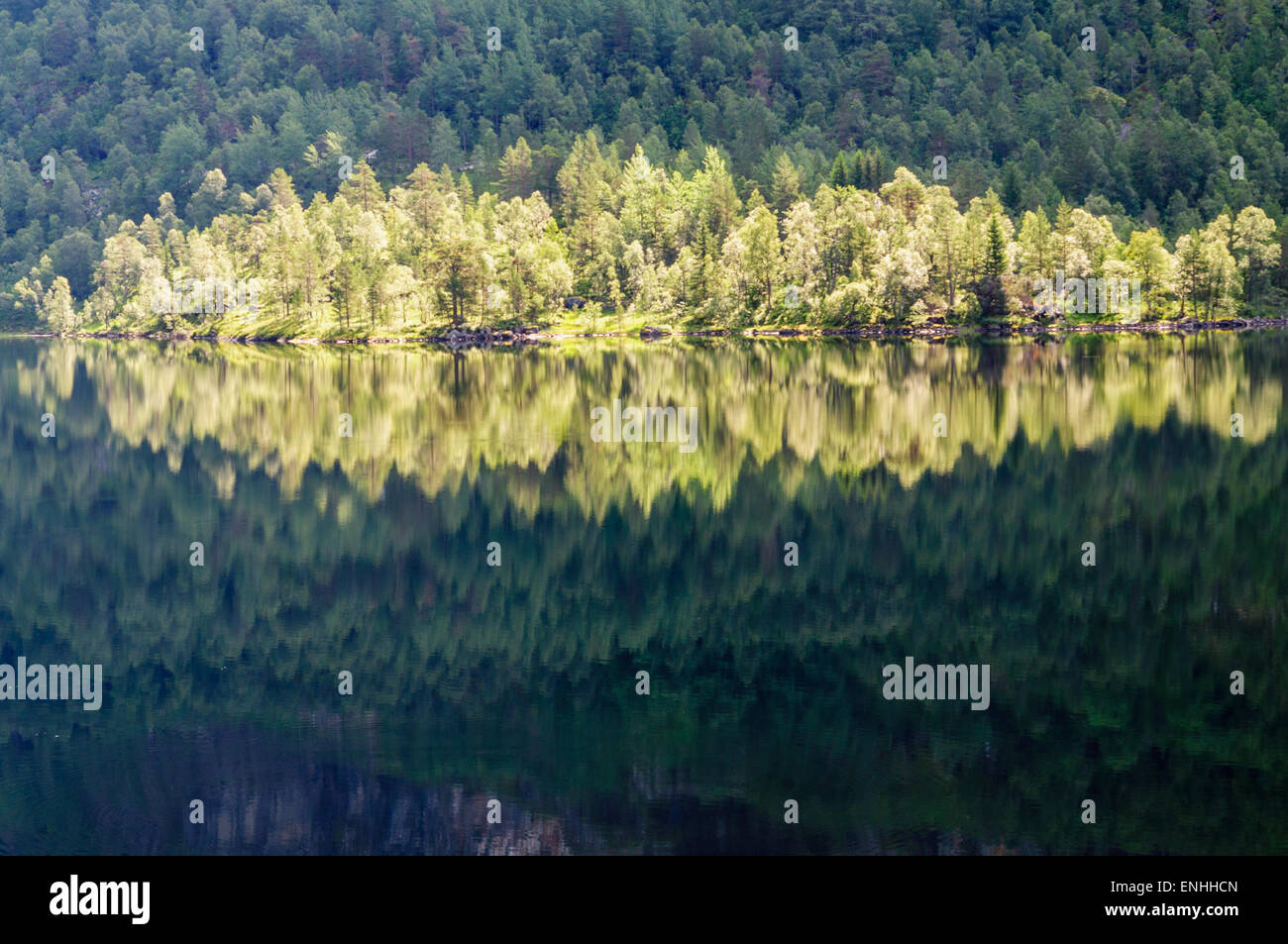 Bosque soleado reflejo en el lago higland Foto de stock