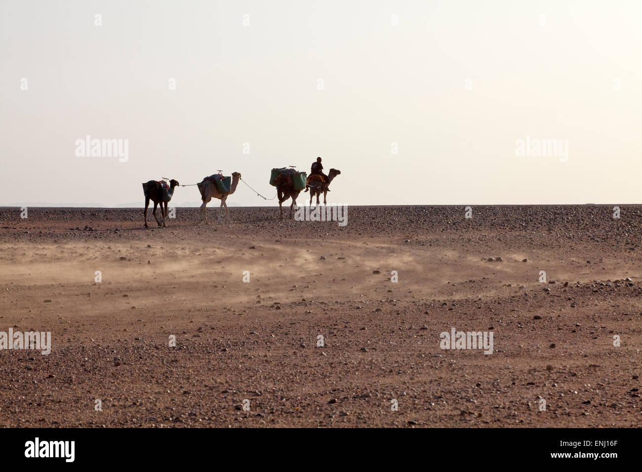 Desierto, Foto de stock