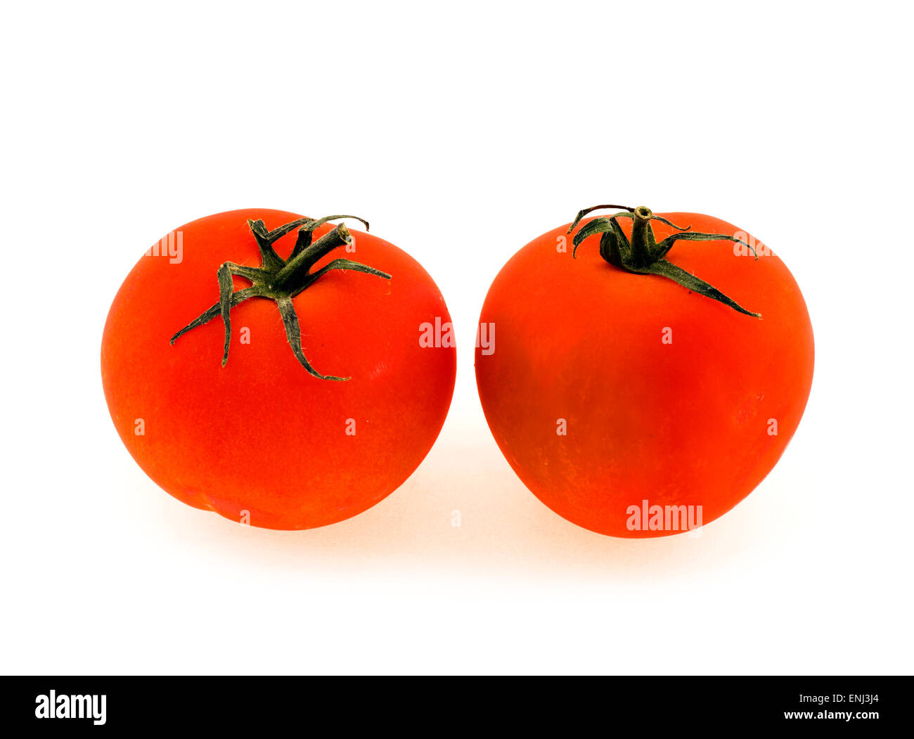 Tomates frescos Foto de stock