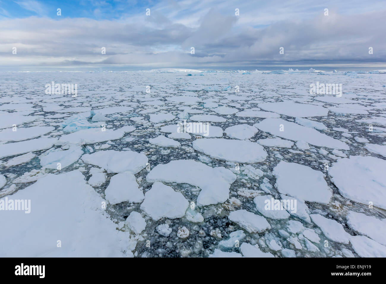 Témpanos de hielo ahogar las aguas del Canal Lemaire, La Antártica, regiones polares Foto de stock