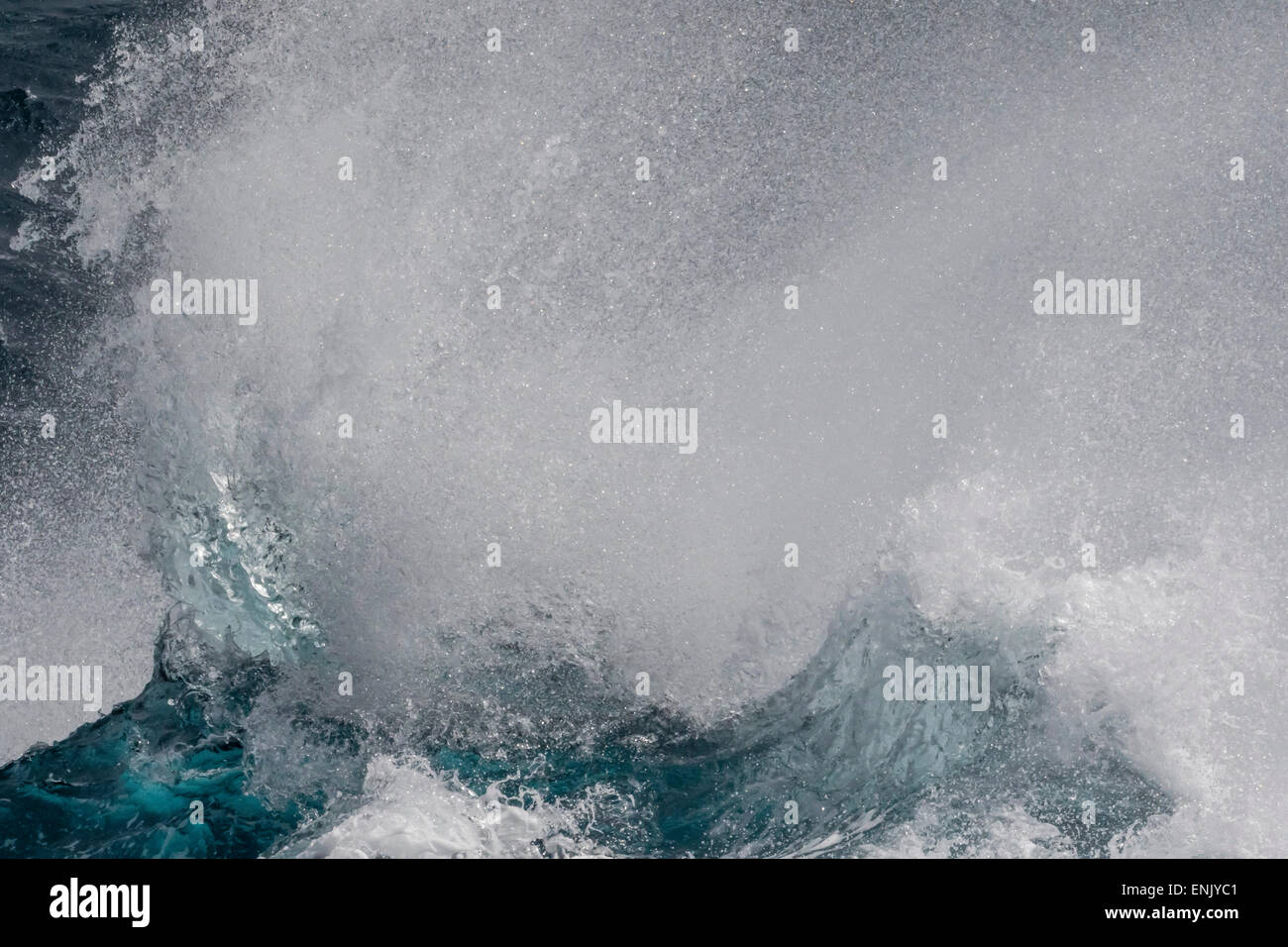 Alta mar rompiendo en estrecho Inglés, Islas Shetland del Sur, Antártida, las regiones polares Foto de stock