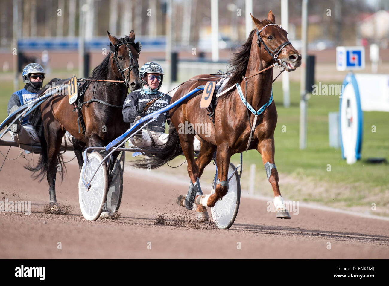 Harness Racing en Mantorp Race Course en Suecia Foto de stock