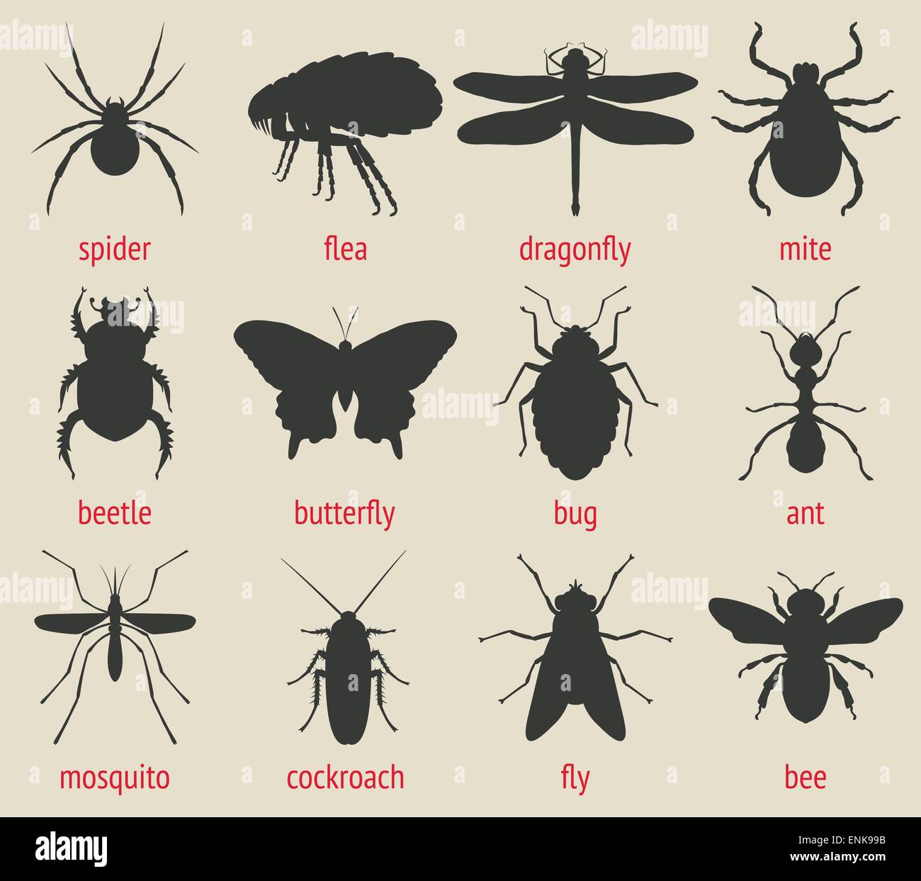 Conjunto de iconos de insectos Ilustración del Vector