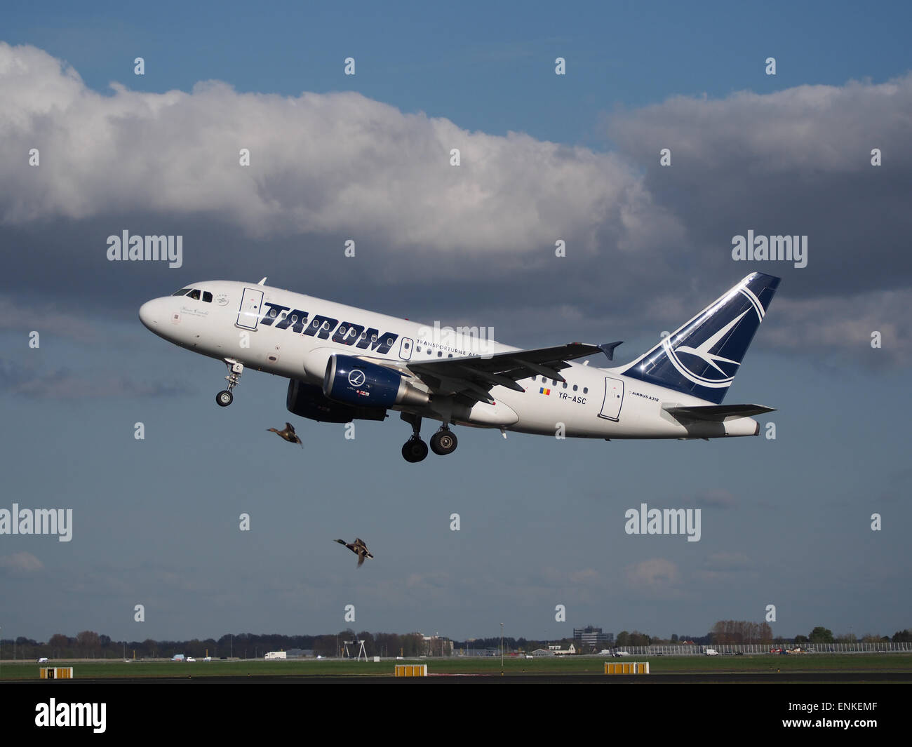 YR-ASC TAROM Airbus A318-111 de despegue de Polderbaan (no Bird Strike), Schiphol (AMS - EHAM) al atardecer, Foto de stock