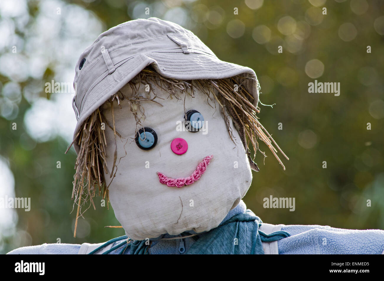 El Espantapájaros con sombrero gris y ojos azules Foto de stock