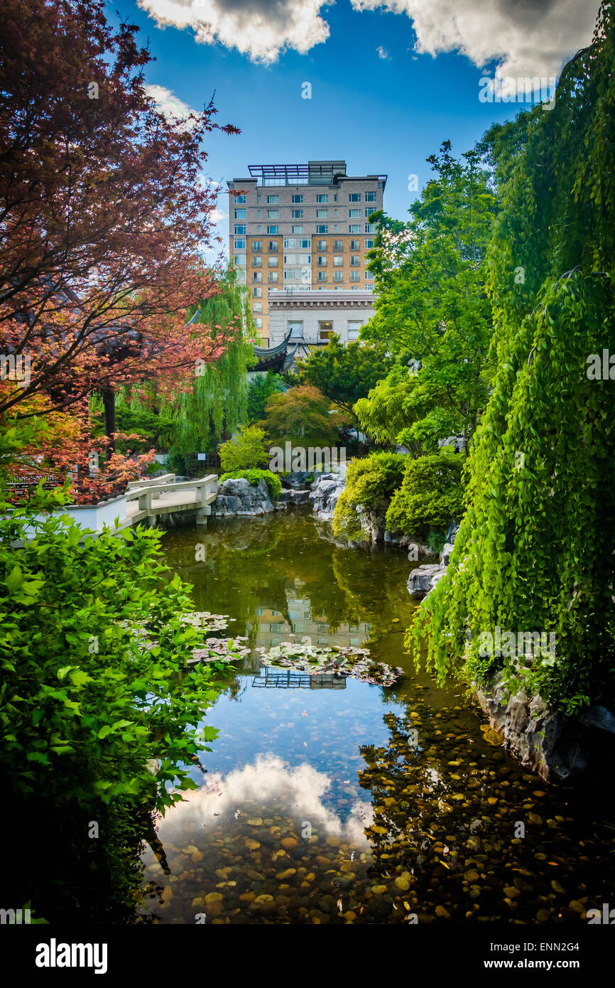 Rascacielos y un estanque en la Lan Su Chinese Garden en Portland, Oregon. Foto de stock