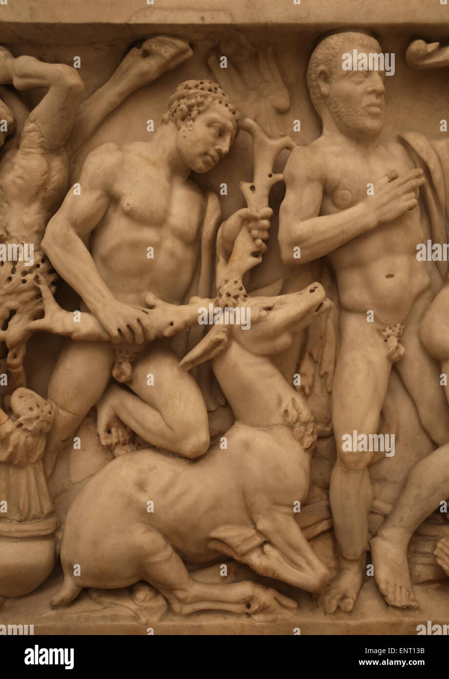 Sarcófago romano. 240-250 AD. Los trabajos de Hércules. Colección Ludovisi. La lucha contra el hind de Ceryneia. Foto de stock