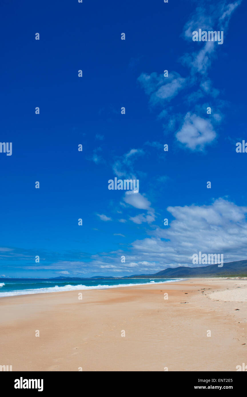 Playa solitaria en la costa oriental, Tasmania Foto de stock